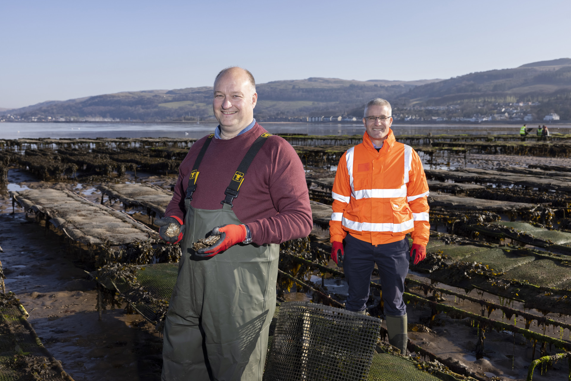 Background image - Peel Port Cumbrae Oysters4